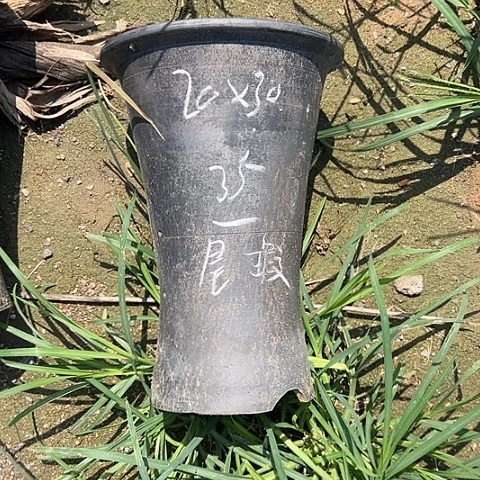 杯瑕尾货束腰口径20高度30