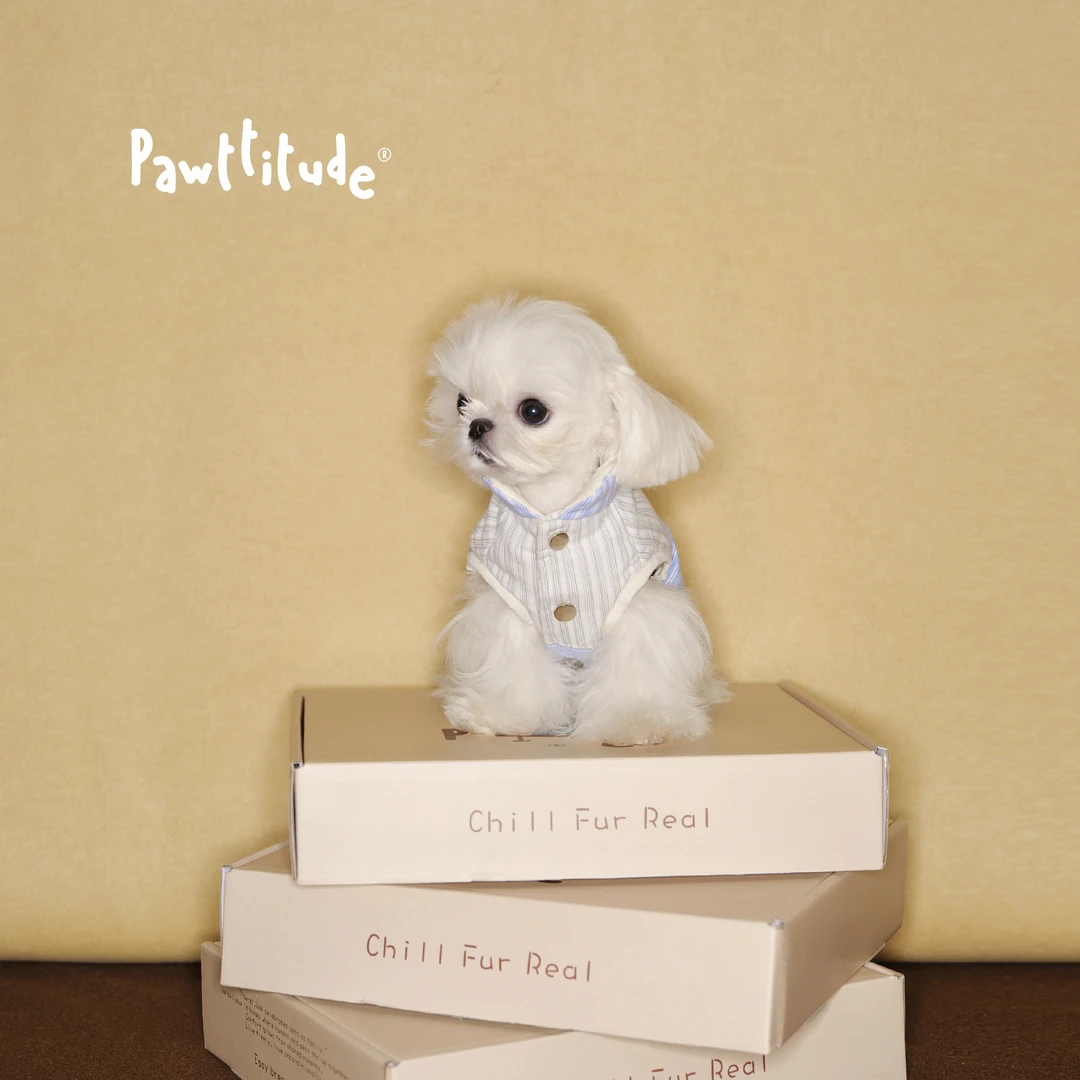 Pawttitude冬季狗狗羽绒服小型犬比熊正反两面穿条纹拼接宠物马甲