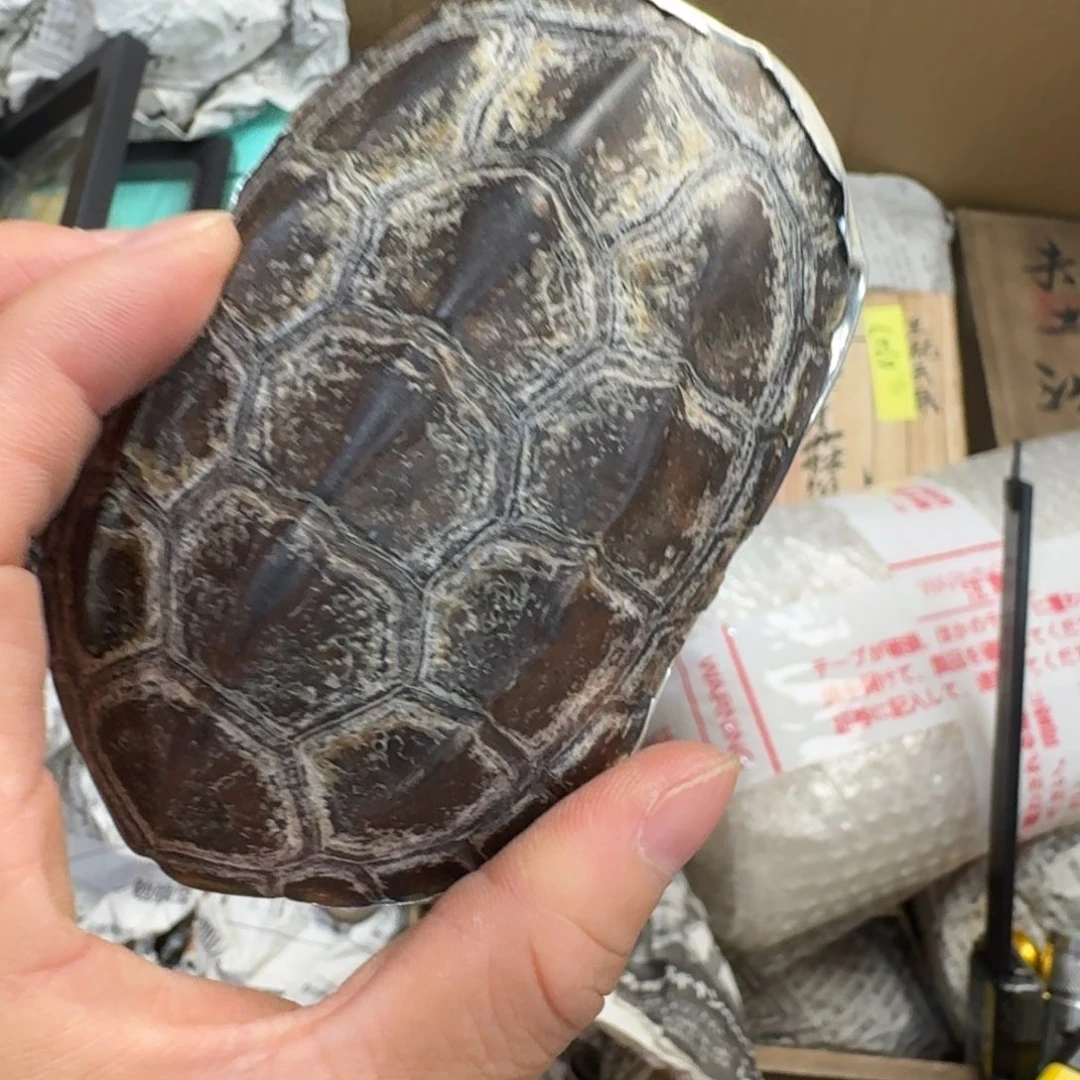 陶瓷手串，多样性发一