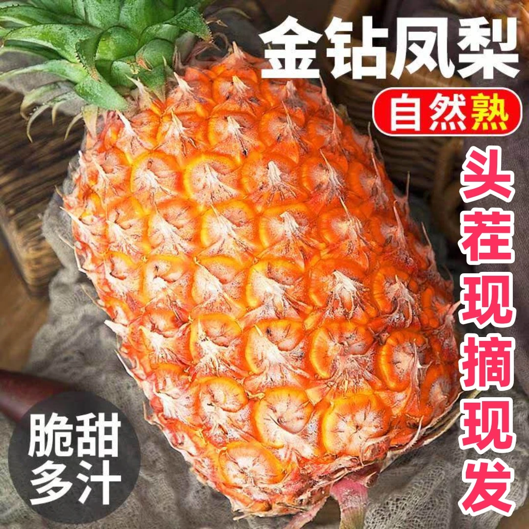 海南正宗金钻凤梨多汁鲜甜新鲜孕妇水果应季菠萝手撕凤梨批发包邮