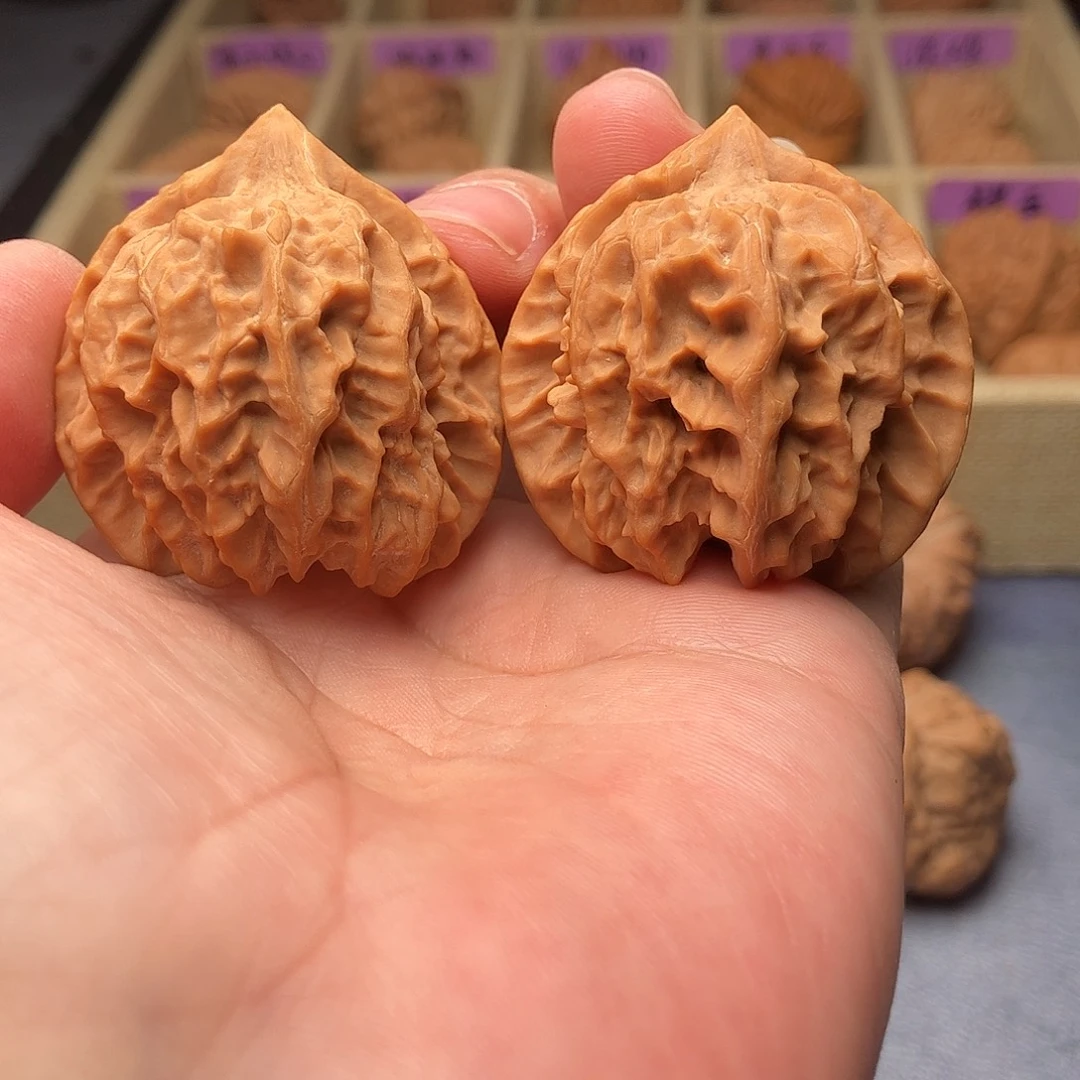 把件文玩核桃曹大龙狮子头40（头货精品