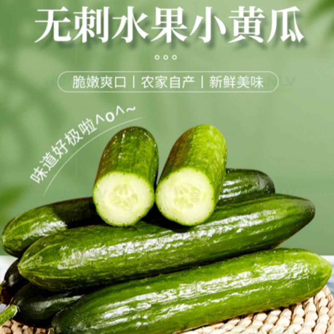 山东寿光蔬菜水果黄瓜生吃脆新鲜3斤当季无刺小黄瓜