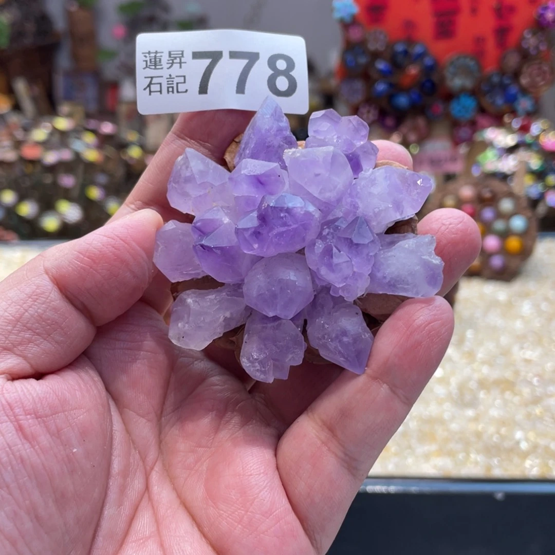 核桃木/黑胡桃（胡桃木）778