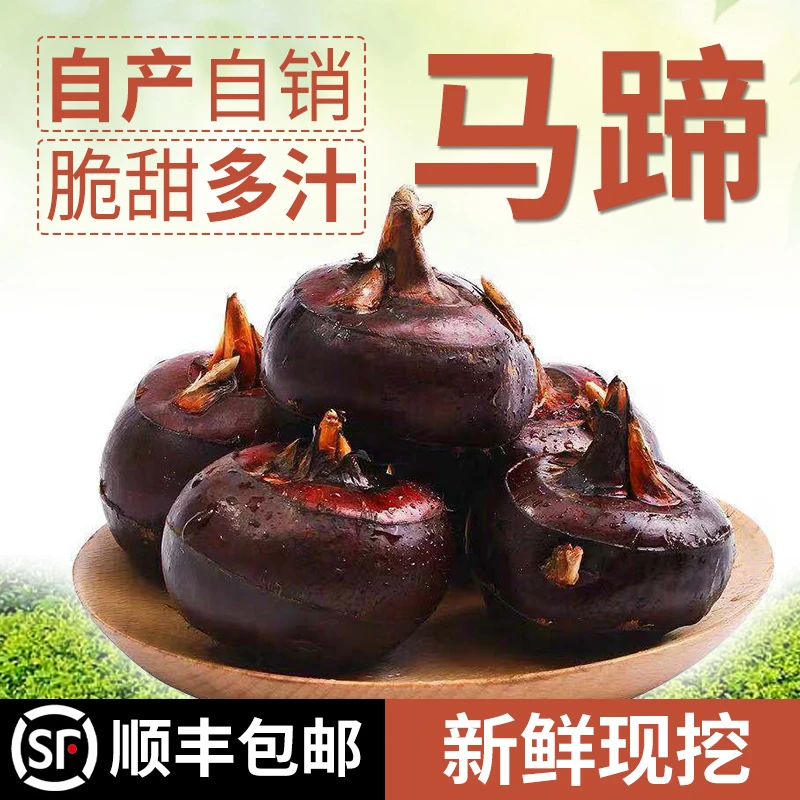 【顺丰包邮】安徽带泥大果脆甜无渣马蹄荸荠现挖现发农家产地直销时令水果蔬菜3/5斤