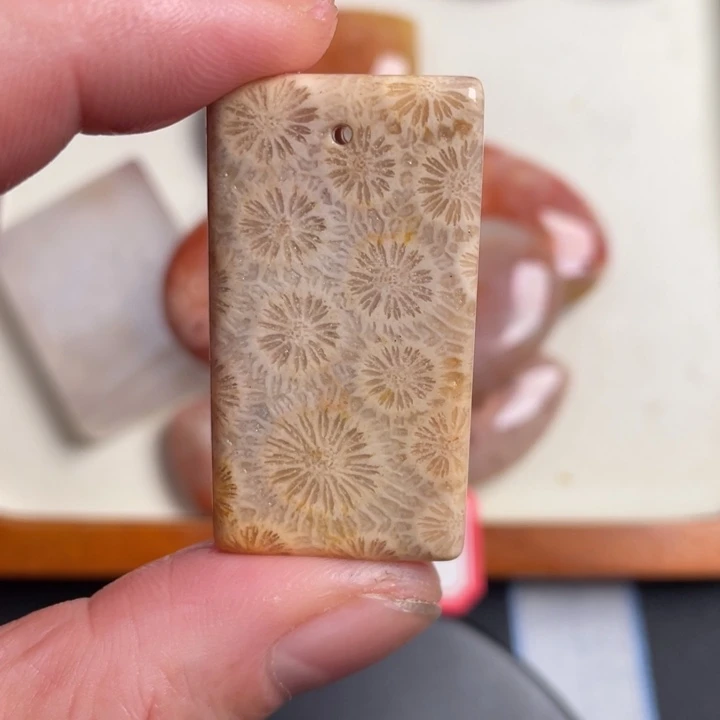 合金珠宝奇石硅化玉336