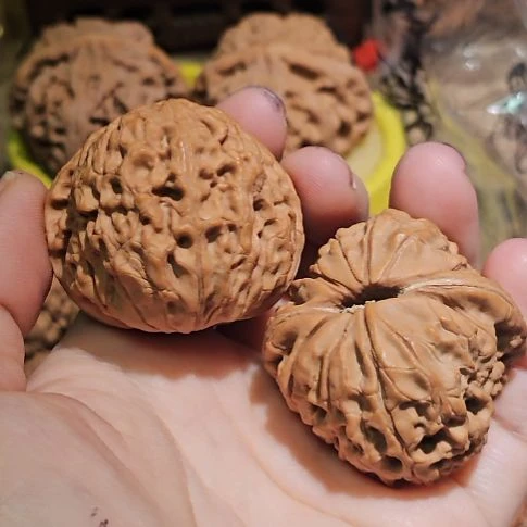 奥***文玩核桃吊坠41大团圆