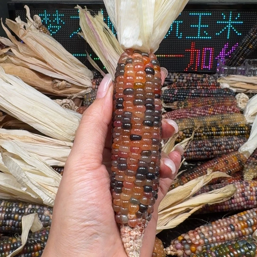 柏香籽/百香籽吊坠念*