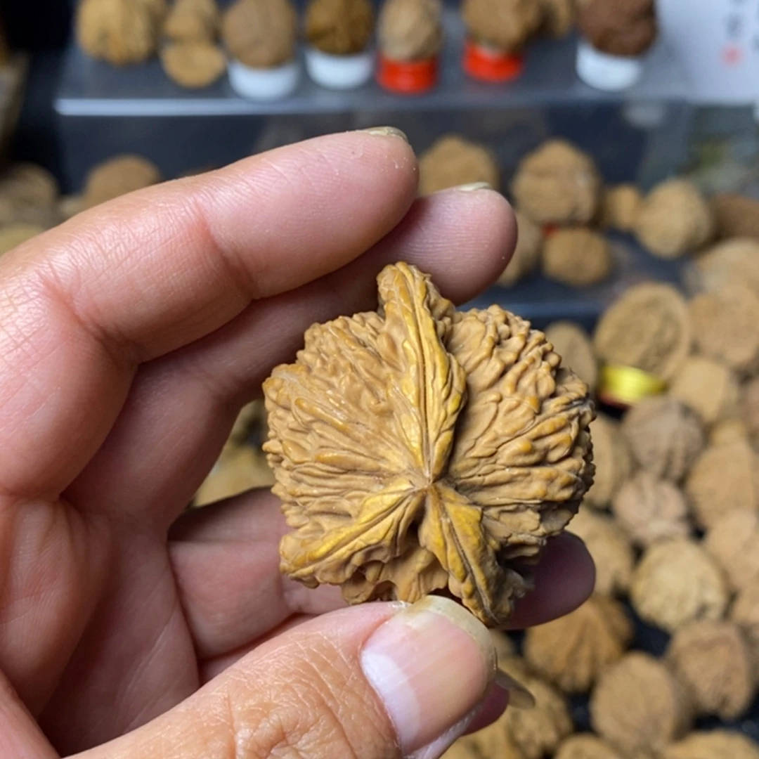 快***恼大叶紫檀（黑酸枝木类）