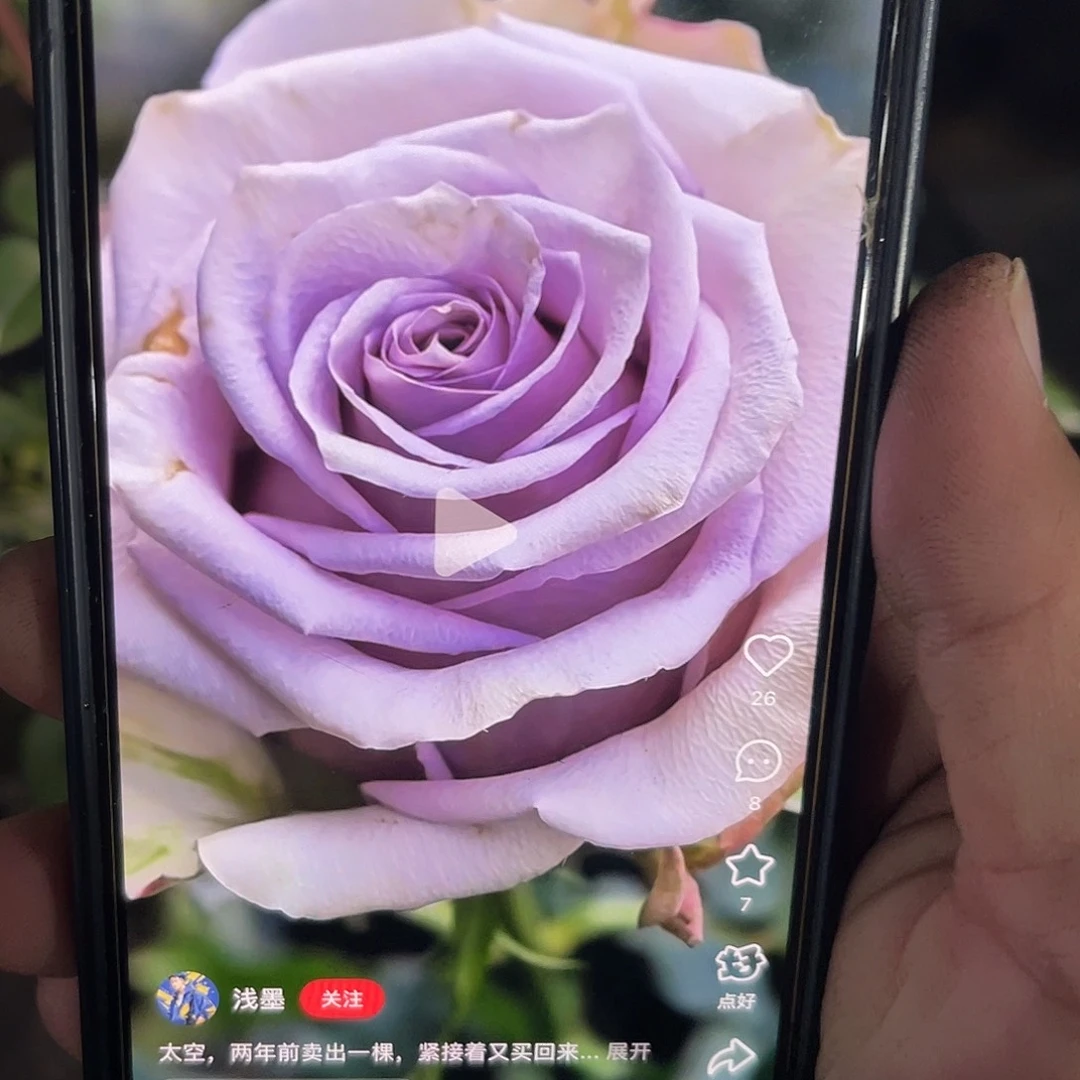 无花朵——- —-太空 福利款