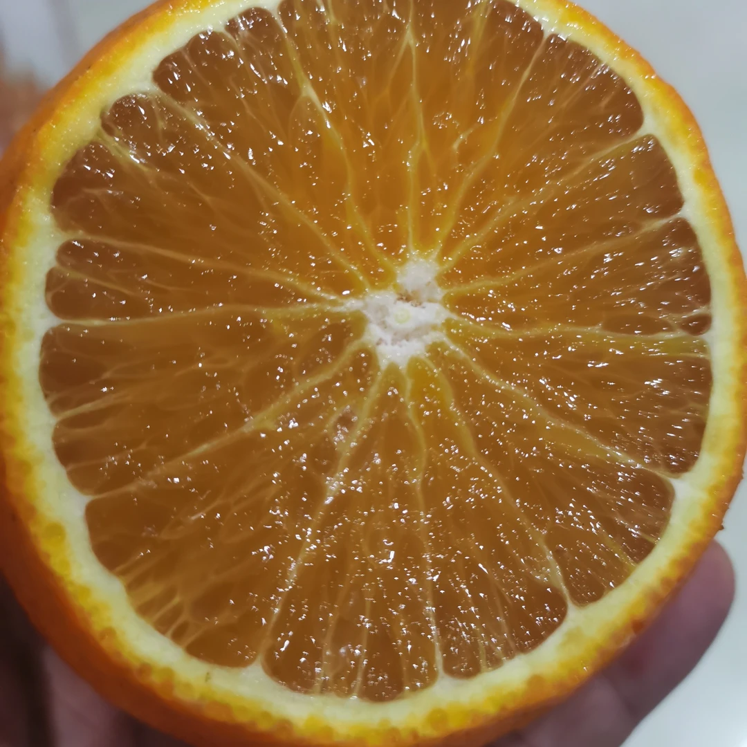 四川眉山爱媛貂皮38号果冻荒野求生橙新鲜采摘正宗