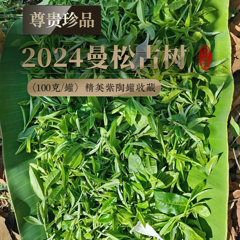 卖克茶叶 曼松古树纯料2024年头春茶云南茶叶普洱茶生茶散茶100克