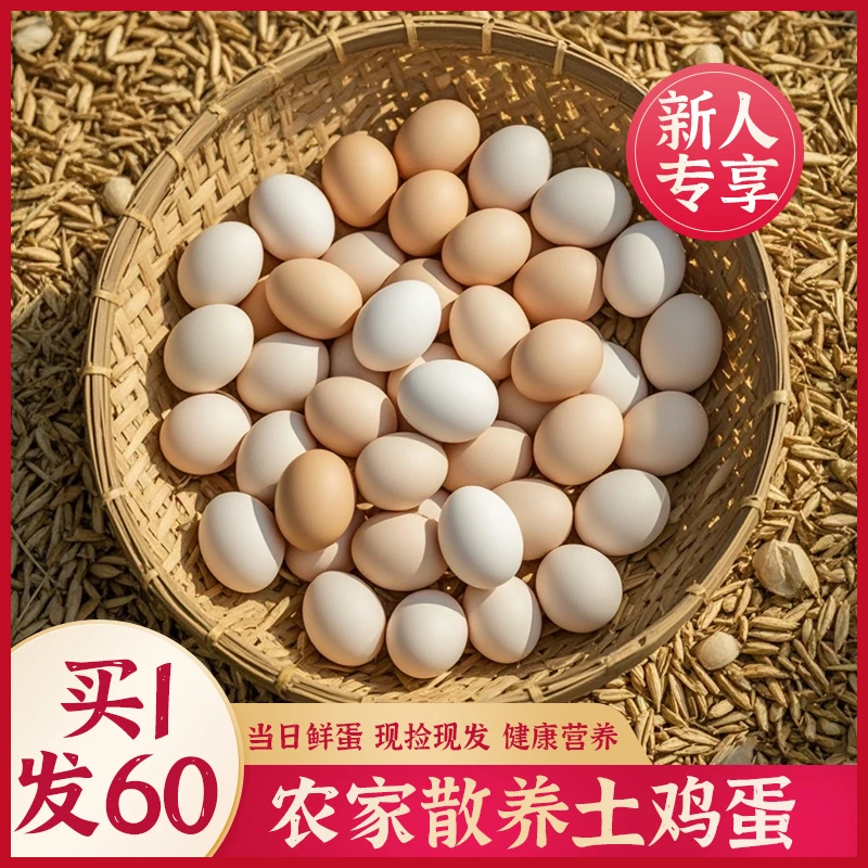 新人专享60枚新鲜谷物土鸡蛋单枚45g左右农家散养现捡现发a12
