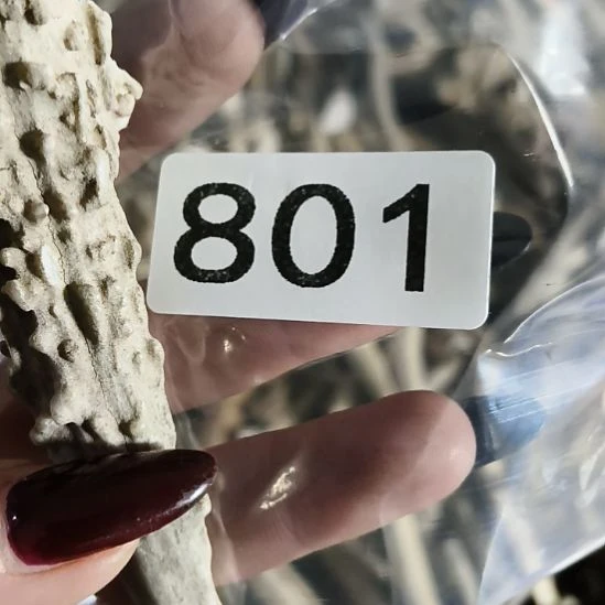 闲***P鹿角鹿角鹿角鹿角鹿角鹿角