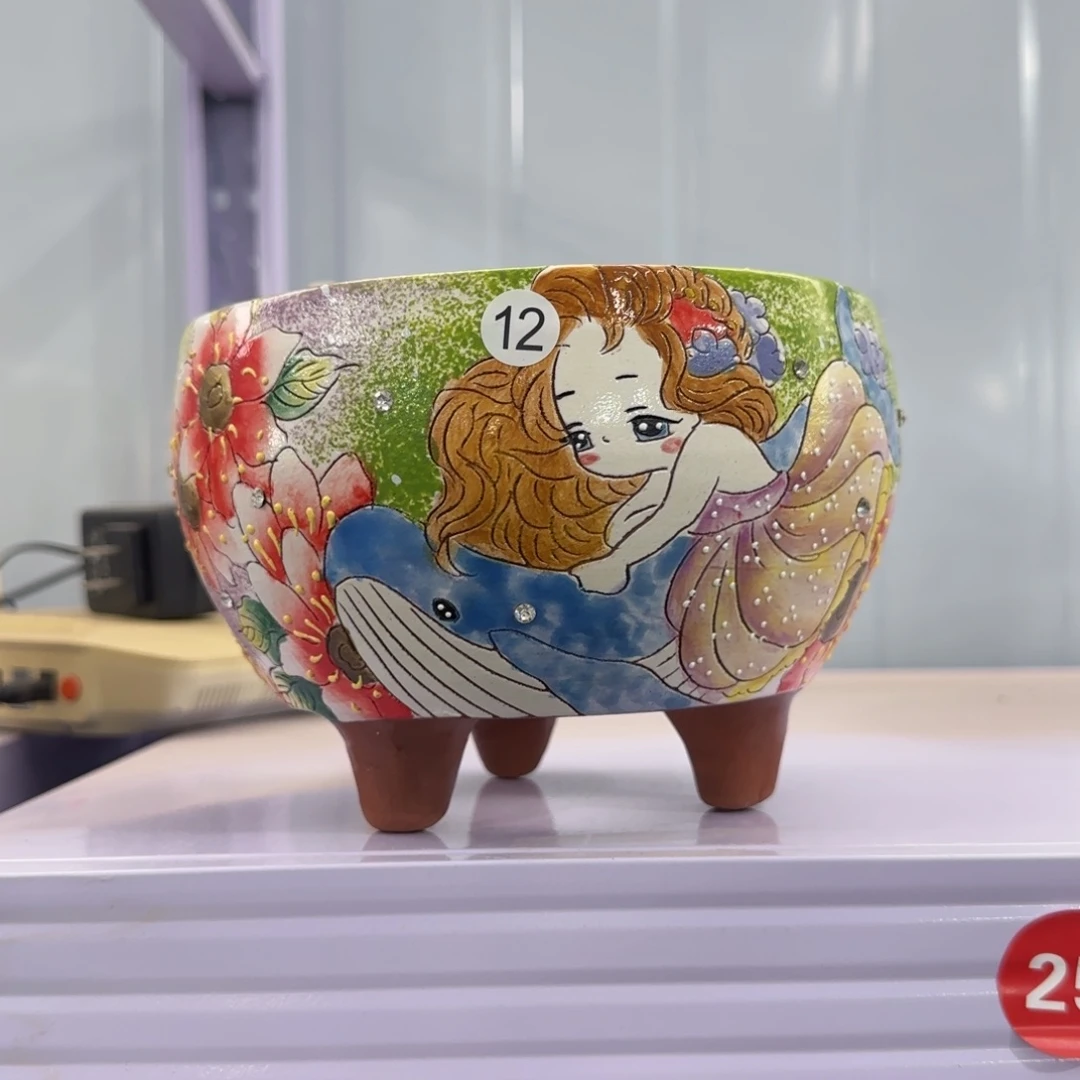 王*田小姐多肉花盆的