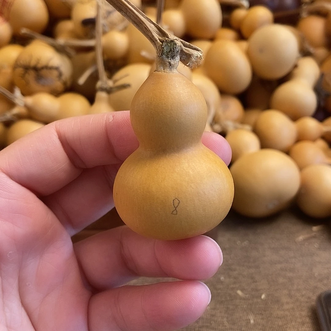 文玩葫芦 完美主义者 慎拍8