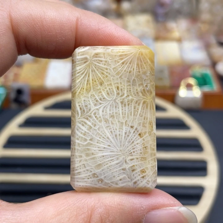 硅化玉未镶嵌颈饰k6