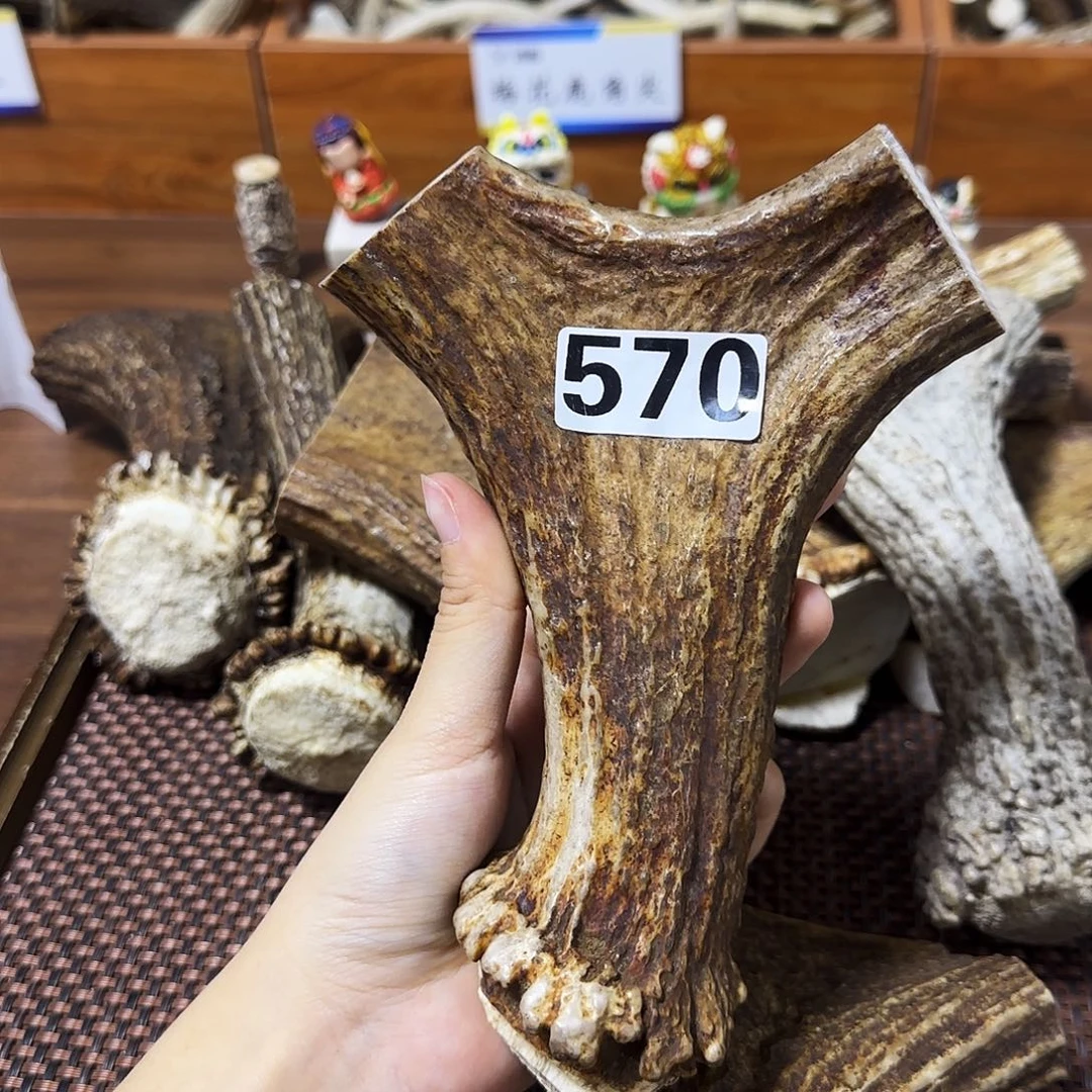 鹿骨手串/手链570弹弓18*12.9*4.3cm