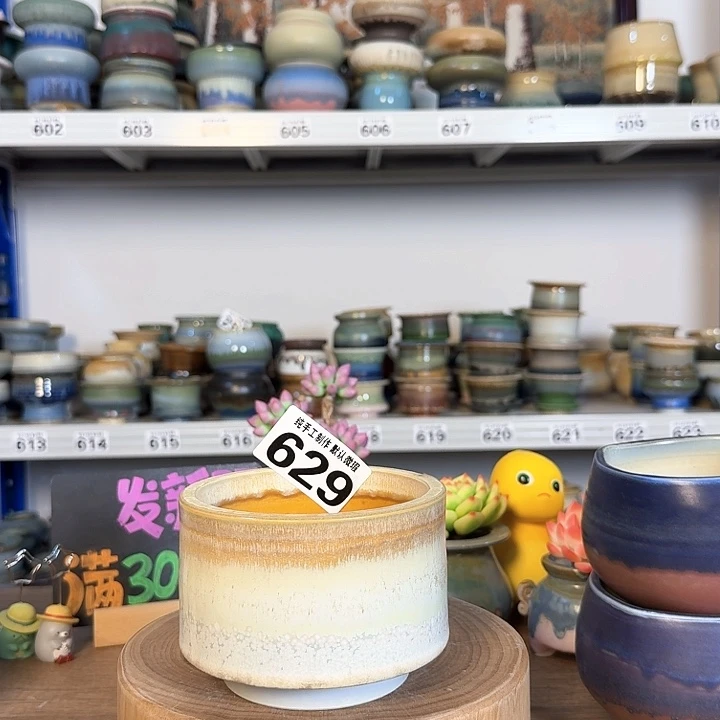 景德镇手工陶瓷盆 口10