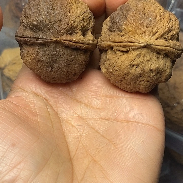 把件文玩核桃云南铁核桃8