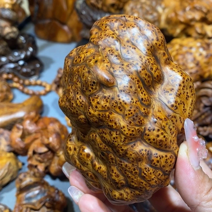 柏木拥**想太行崖柏陈化