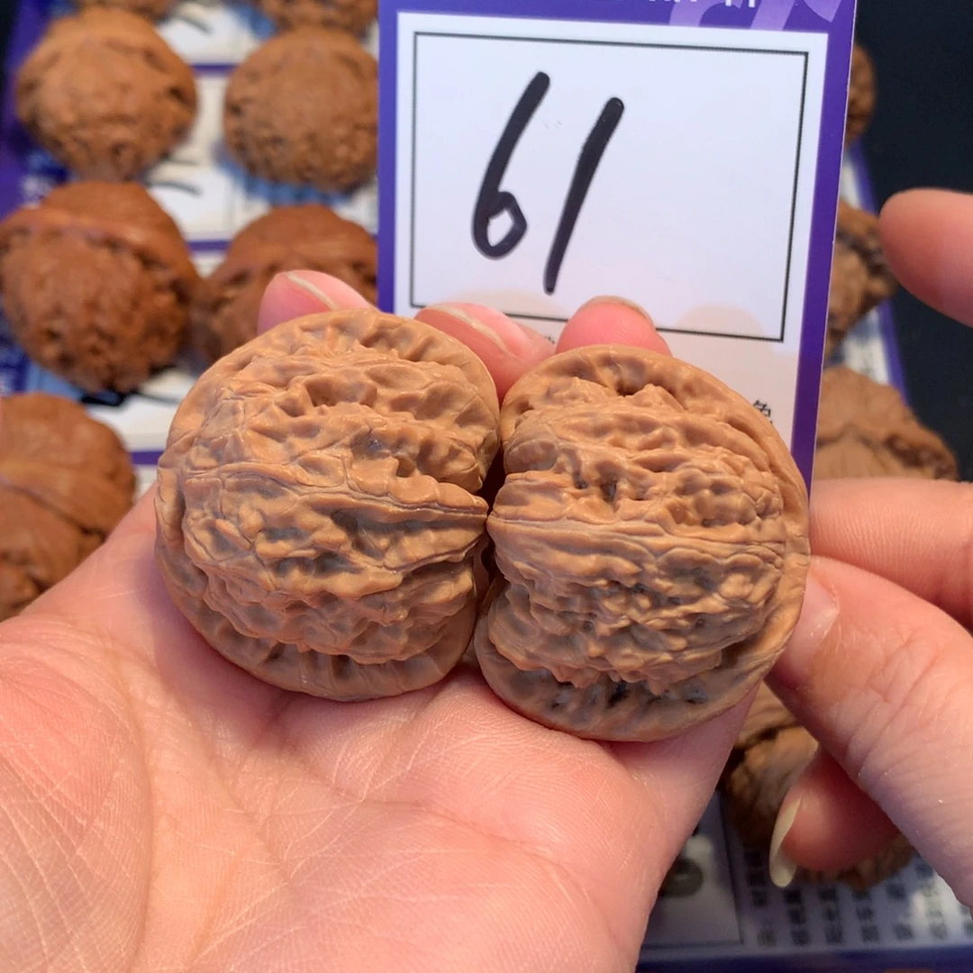 核桃61白狮子3.9全品