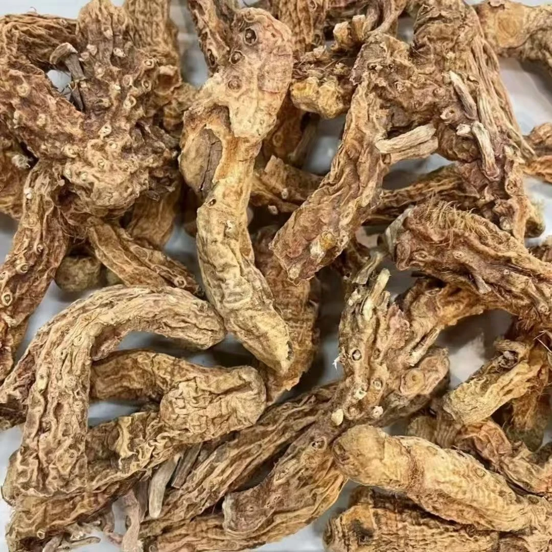 太白穿山龙【杰选陈皮】 250g 拍一发三到手1.5斤