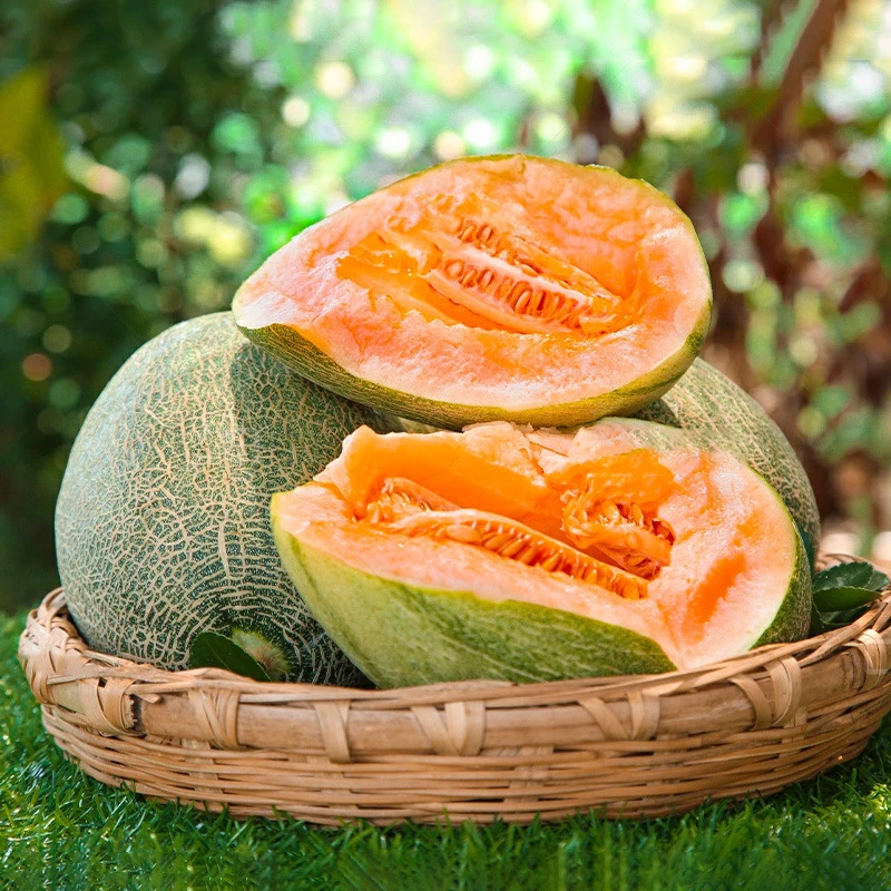 新疆哈密瓜玫珑蜜瓜当季新鲜水果冰淇淋网纹瓜新疆吐鲁番哈蜜瓜