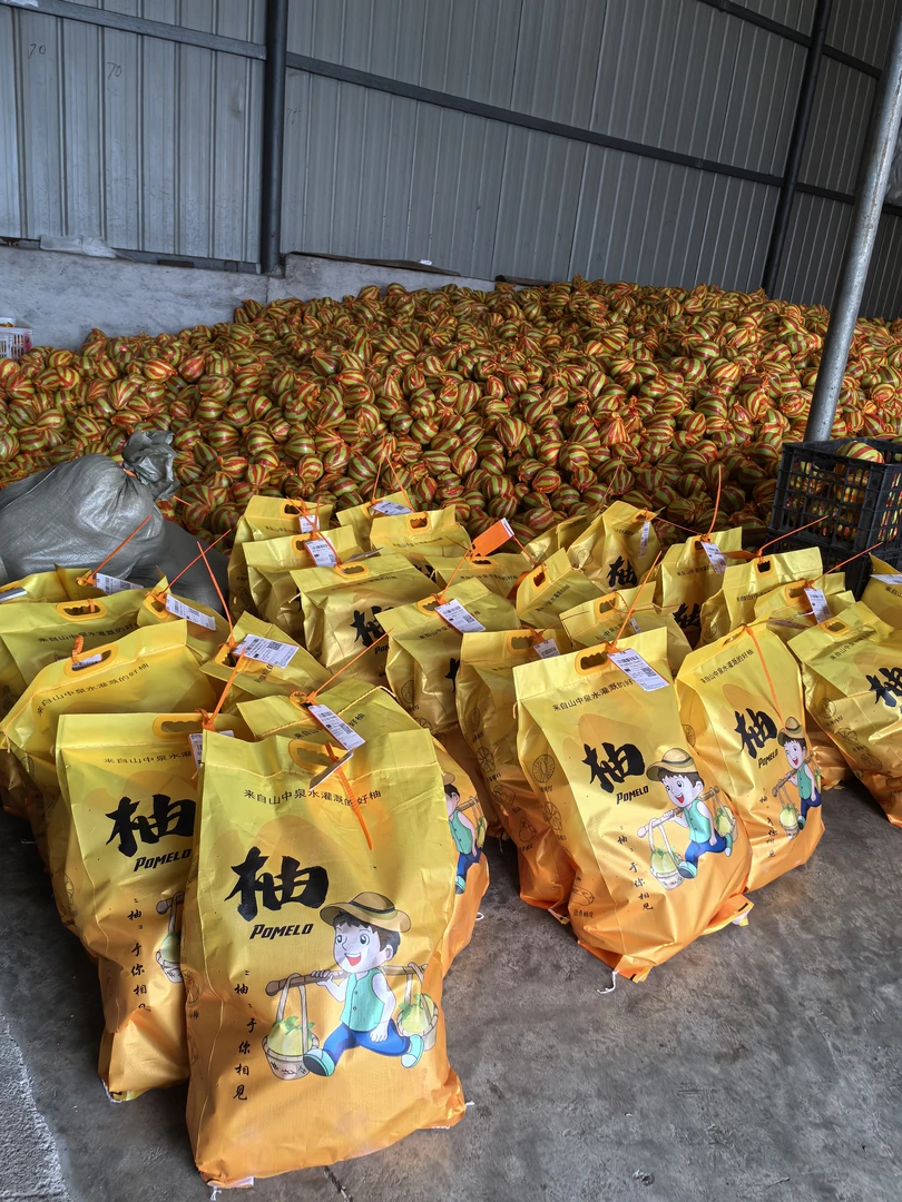 顺丰包邮19.5斤湖南安江冰糖柚.雪峰柚.肉脆多汁，微苦回甘