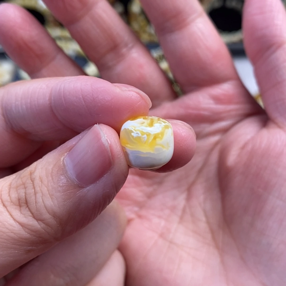 蜜蜡未镶嵌裸石金漆白溶洞妖花老型单珠11.5