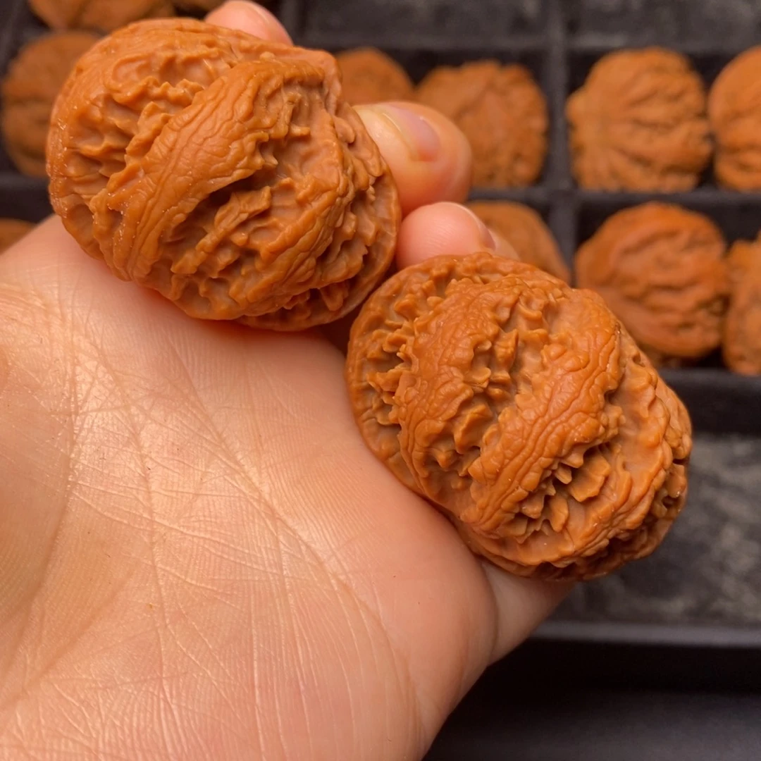 文玩核桃把件秦岭野生核桃
