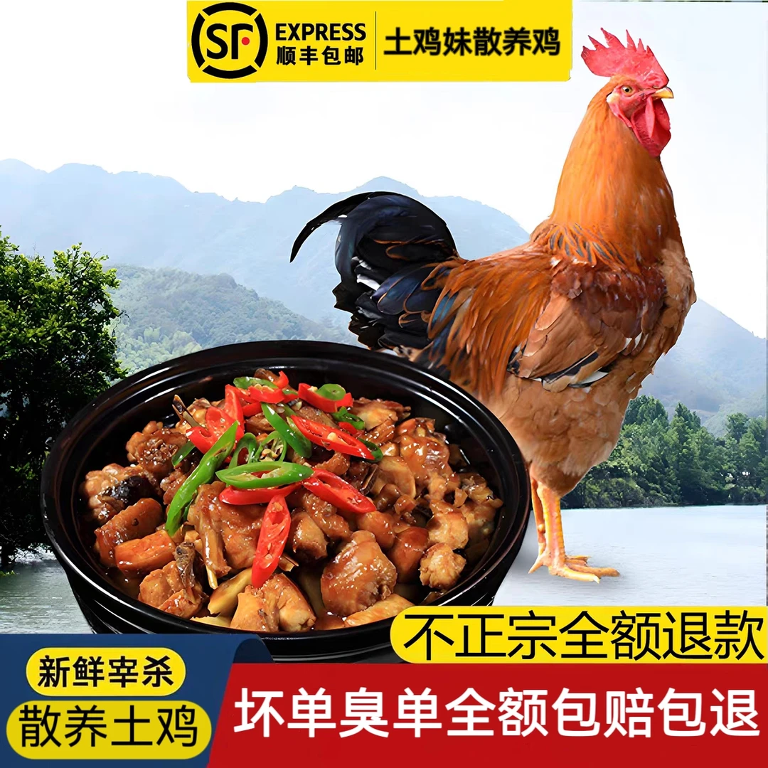 一年左右一只黑瑶黑脚大公鸡+半斤鸡胗(6斤左右)