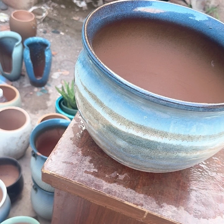 微瑕花盆啦啦来啦