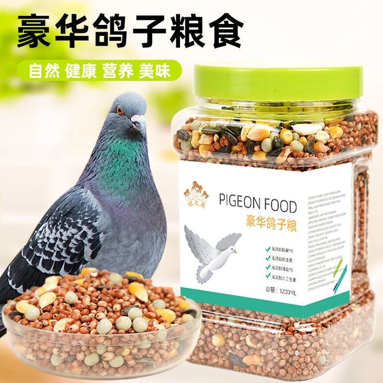 鸽子粮食饲料白鸽子信鸽赛鸽鸽粮种鸽营养粮食玉米鸟食鸽子鸟粮