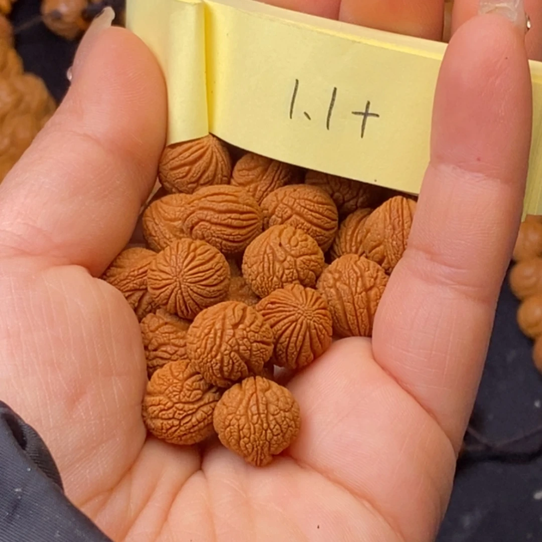 秦岭龙纹桃核21颗