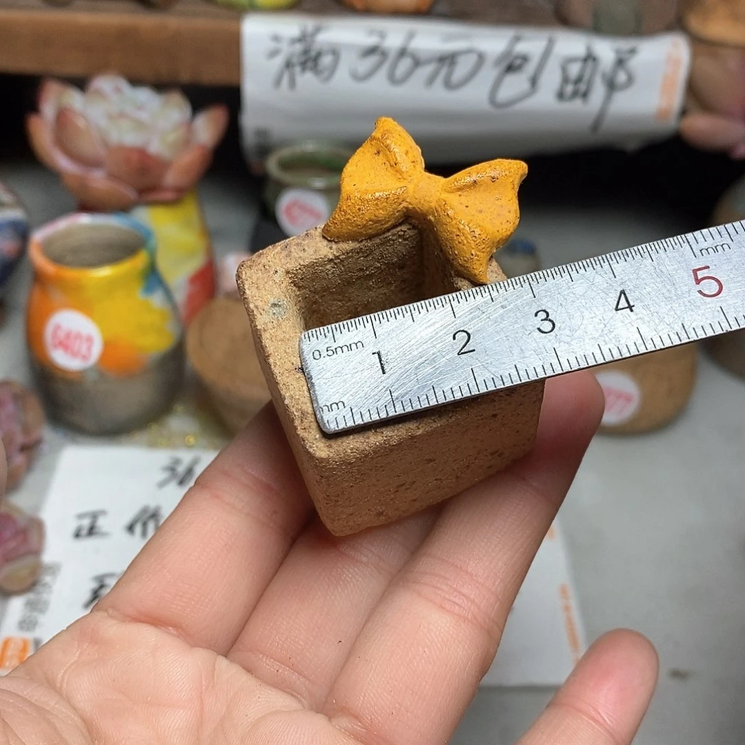 红陶拍5送一个小