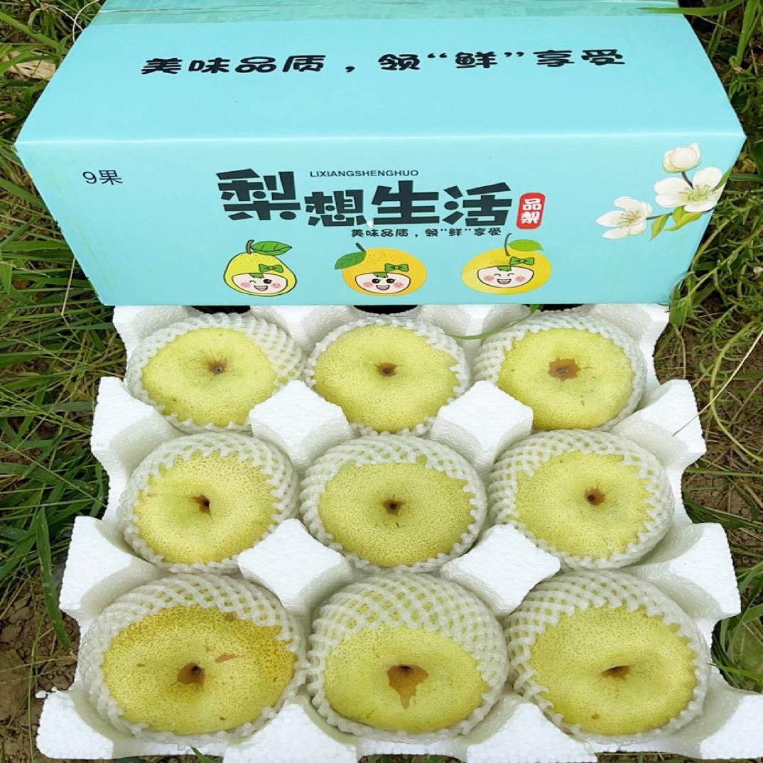 顺丰包邮正宗百年老树砀山酥梨新鲜树熟脆甜多汁的应季水果蜜梨