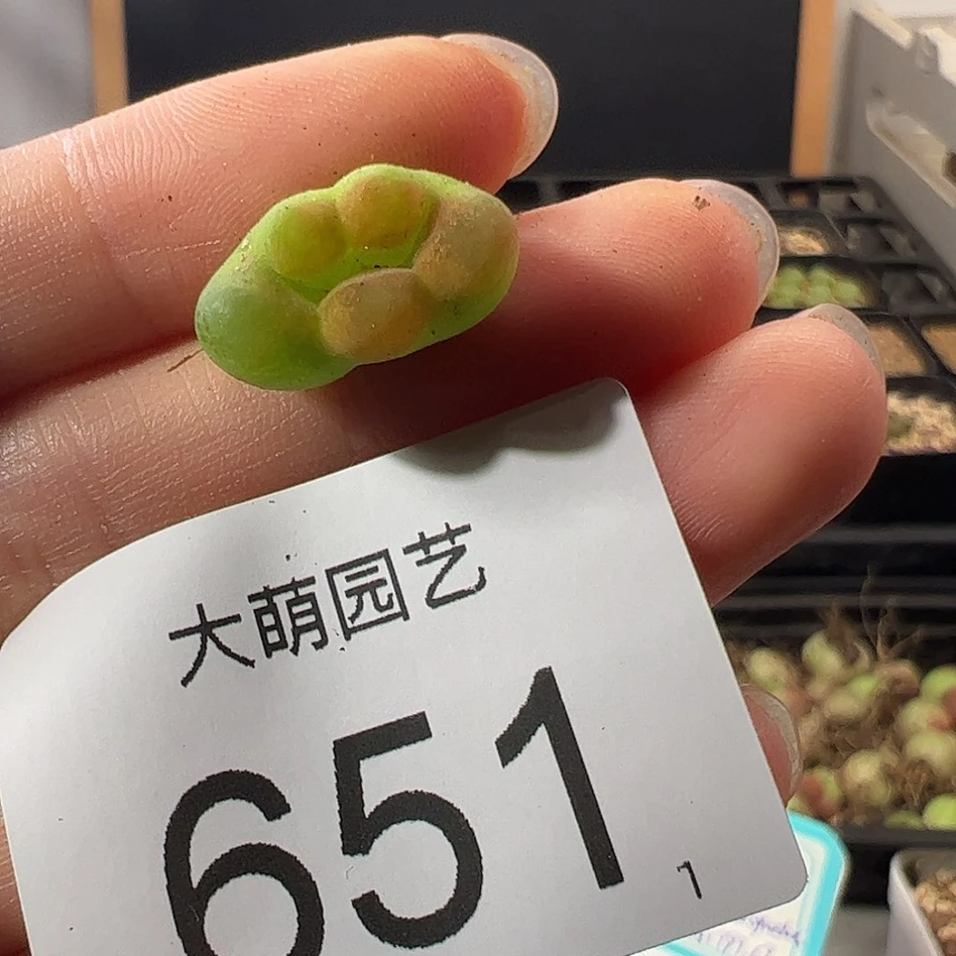 0000651 一物一拍,
