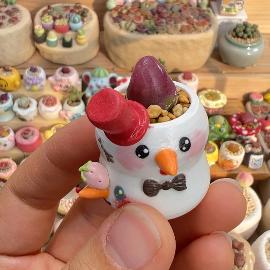 多肉植物22号拇指盆