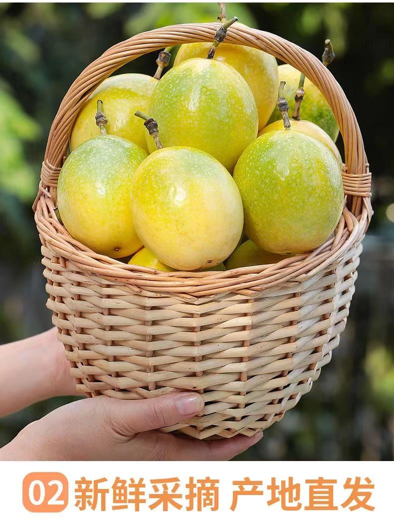 广西桂林新鲜现摘百香果自家果园新鲜发货