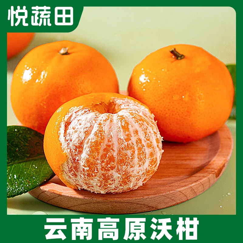 【小明正能量】云南高原沃柑4.5斤新鲜水果新鲜沃柑