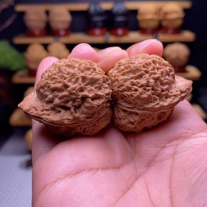 木质类云铁炎魔星官41号