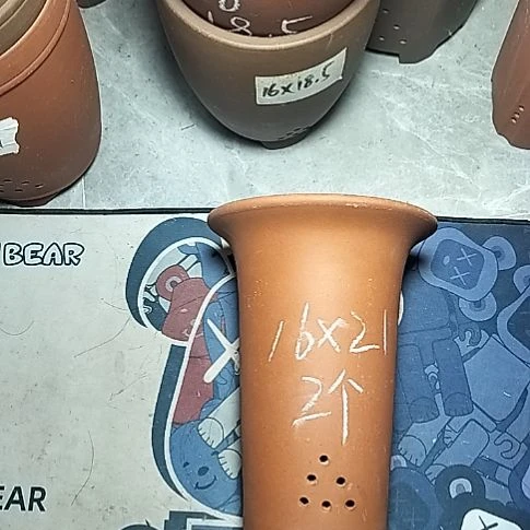 小红兰花两个微瑕