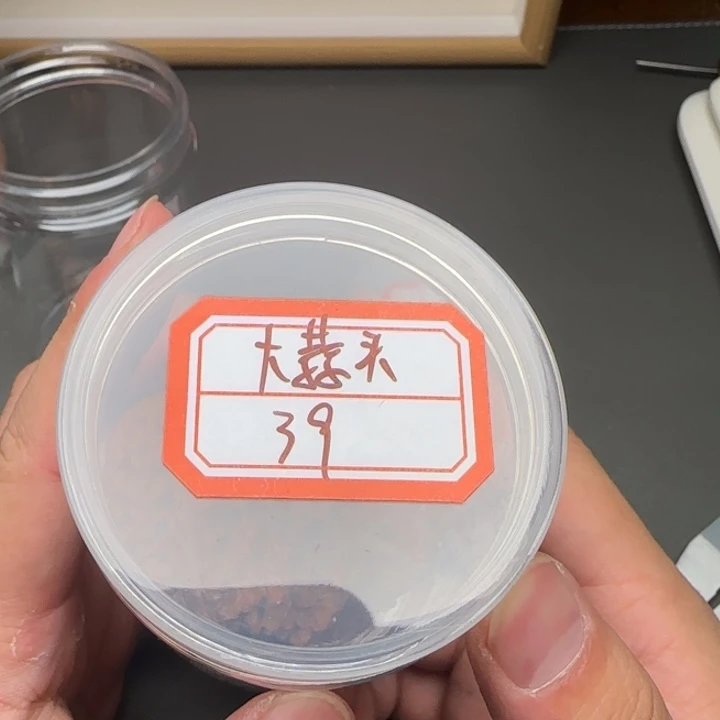 月***的吊坠文玩核桃大蒜头