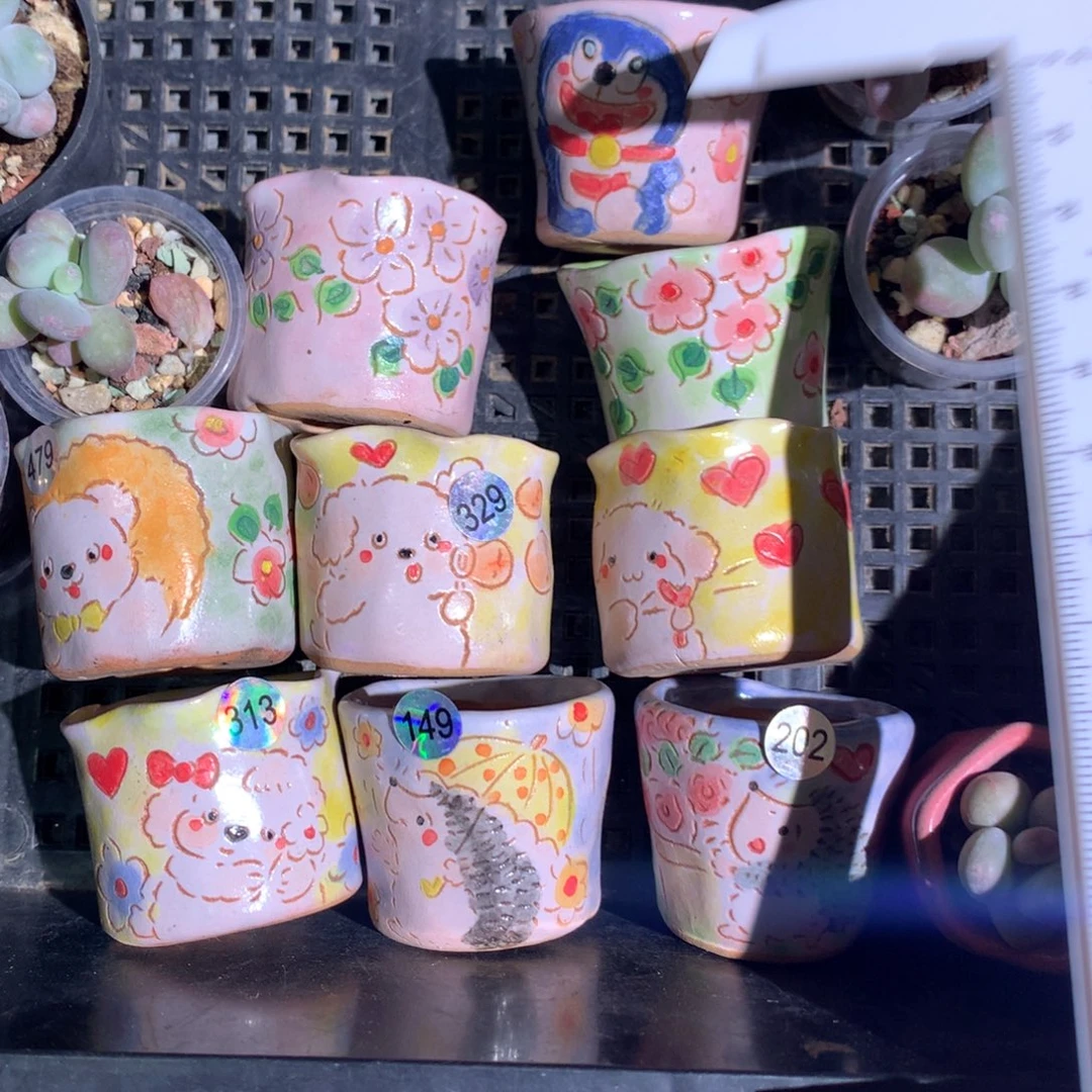 花盆一个任任选哈哈哈