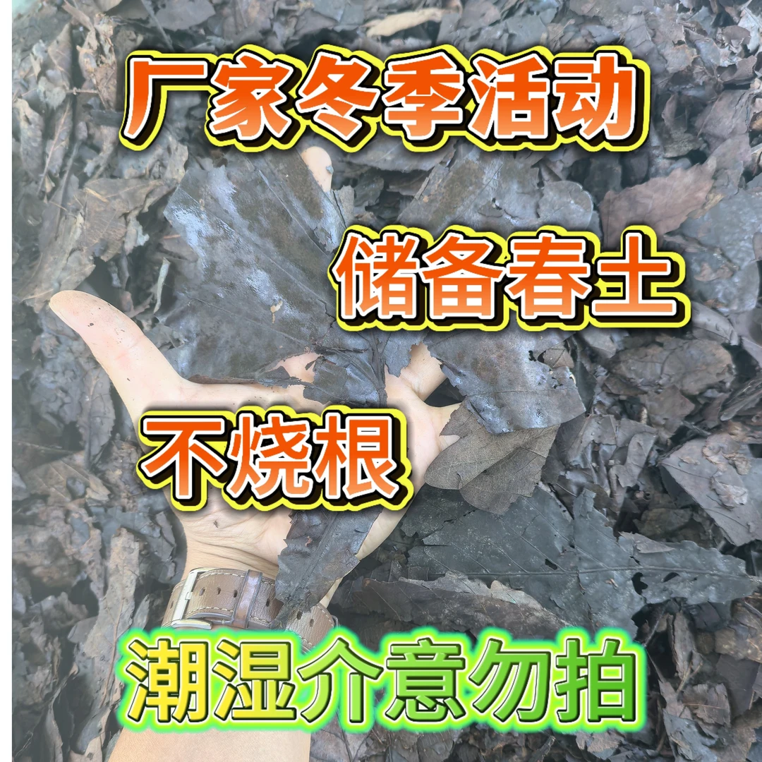 厂家冬季福利款腐熟纯大叶冬季土湿介意勿拍