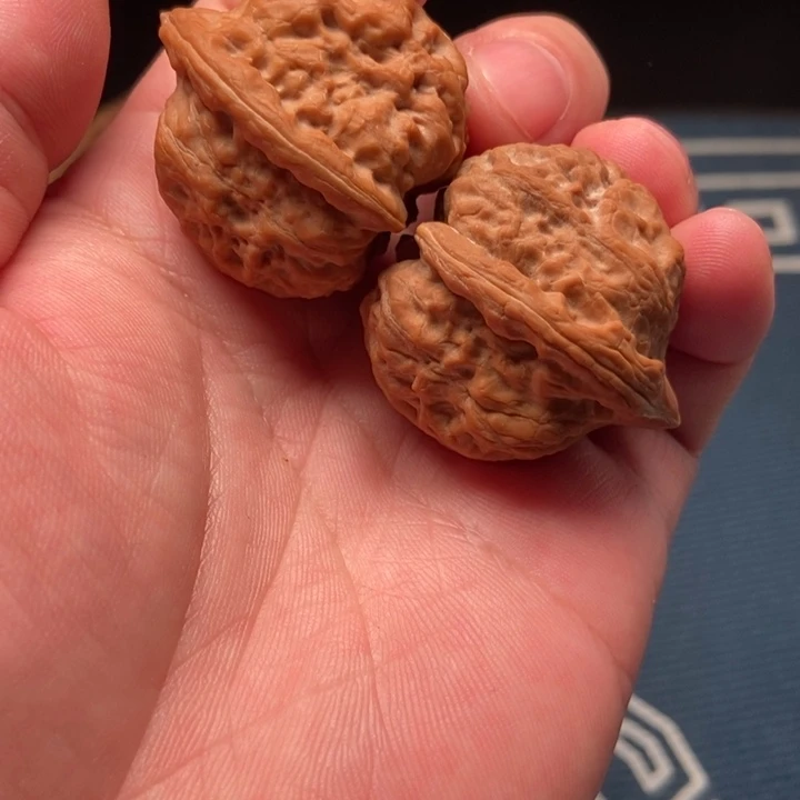 大叶紫檀（黑酸枝木类）战马36尺寸