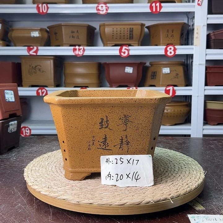 紫砂花盆蛇年大吉