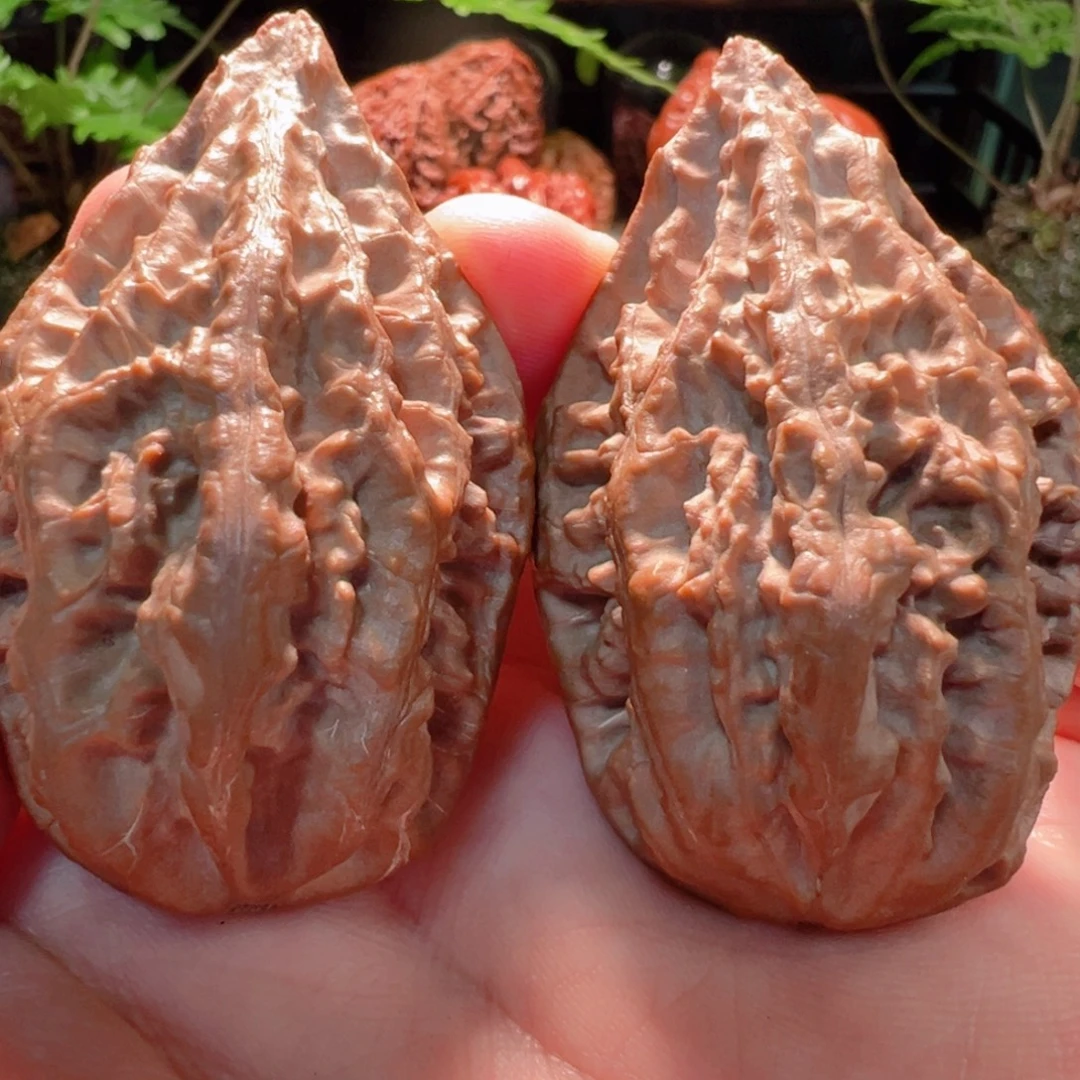 桃核吊坠11111111111