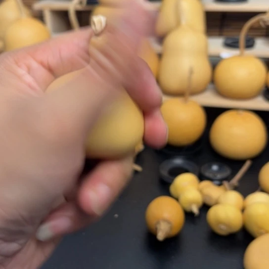 田****01256899899999989