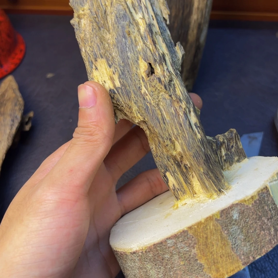 闲***鹤沉香沉香碎屑金沙叶